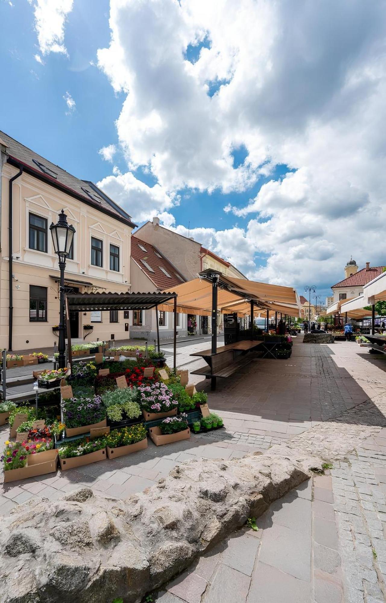 Hotel Zlate Кошице Екстер'єр фото